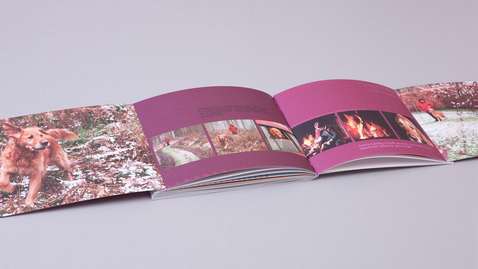 Fable simplyhealth be yourself book 15